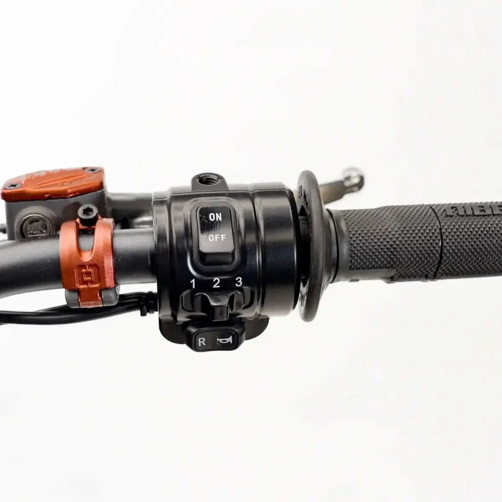 E-X800 – ENDURO – immagine 19