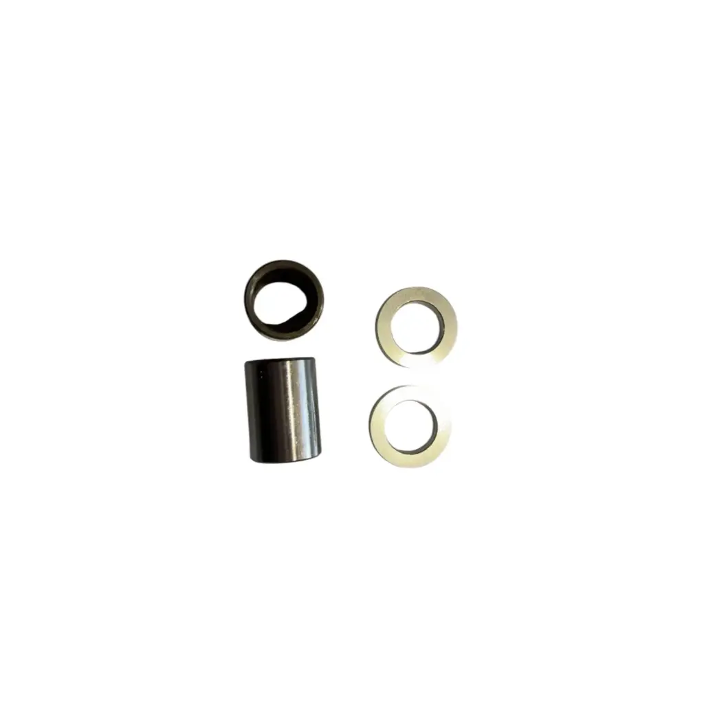 Anello interno, testina, tampone e cuscinetto a rulli del forcellone posteriore per XE PRO S